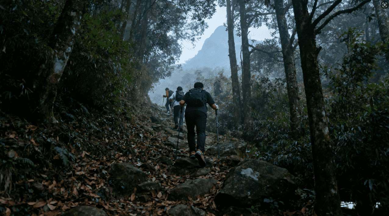 白鲸加速器苹果端常见问题解决方案汇总
